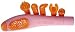 Sinclair Institute The Better Sex Foreplay Wand (Quantity of 1)