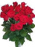 Two Dozen Simply Roses