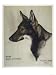 Buddy Seeing Eye Animals Giclee Poster Print, 12x16