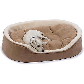 petco heated dog beds