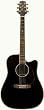 Takamine EG341C Dreadnought Cutaway Acoustic-Electric Guitar, Gloss Black