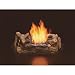 Natural Flame Smokeless Gel Cartridge Fireplace Log Set - Produces Real Fireplace Fire, Model# CFC 6030