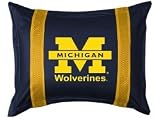 Michigan Wolverines Sidelines Sham