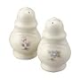 Pfaltzgraff Tea Rose Salt and Pepper Set