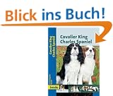 Cavalier King Charles Spaniel, Praxisratgeber