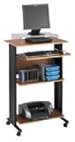 Safco Stand Up Workstation