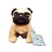   - Webkinz Lil' Pug with Trading Cards