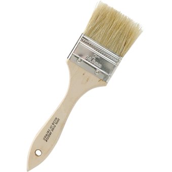 Disposable Paint Brushes