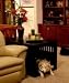 Pet Supplies : Dynamic Accents Pet Crate End Table (Medium/Black)