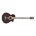 IBANEZ EWB20WNE/NT