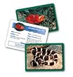 ANIMAL CLASSIFYING CARDS COMBO PK