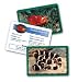 Animal Classifying Cards Combo Pack