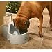 Pet Supplies : Drinkwell Big Dog Pet Fountain