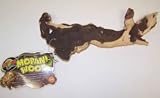 Zoo Med MW-S Mopani Wood 6-8in Small