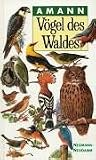 V�gel des Waldes: Taschenbildbuch mit Schnellfinderegister - Gottfried Amann