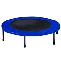 Plum 40" Exercise Trampoline