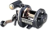 ダイワ(Daiwa) 巨鯉40W 00607800