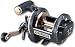 ダイワ(Daiwa) 巨鯉40W 00607800