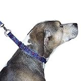 Lupine Large Martingale Style Dog Collar - Bling Bonz 15-22