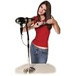 Hands Free Hair Drying and Styling Stand