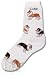 Collie Poses Socks