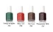 Essie Winter Collection 2010 4pc Color 734-38-35-37