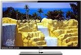 Samsung PN51D530 51-Inch 1080p 600hz Plasma HDTV (Black)