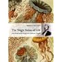 The Tragic Sense of Life: Ernst Haeckel and the Struggle over Evolutionary Thought