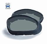 Wiley X SG-1 Motorcycle Goggle Replacement Lenses Smoke Green
