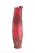 Red Birch Snag