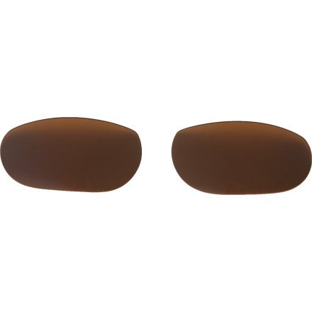 Looking for Smith Toaster Sunglass Replacement Lenses Polarized Copper, One Size - Sport 