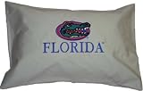 Florida Gators 14 x 20 Travel Pillow - NCAA College
