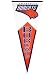 Charlotte Bobcats Classic Pennant