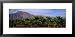 Date Palm Grove Near Borrego Springs, California, USA Framed Art Poster Print by Pano...