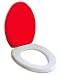 Bright Red Seat Socks