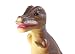 Soft Touch Baby Dinosaur Playset_s-2