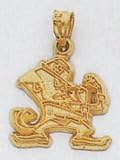 University of Notre Dame Mascot Charm -XC642