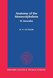 Anatomy of the monocotyledons