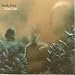 Katy Lied