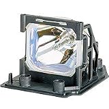 Replacement Lamp 2000 Hours for LP240
