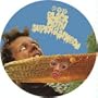 Dont You Want to Be in a Cult [Vinyl]