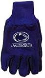 Pennsylvania State (Penn State) Nittany Lions Knit College Logo Glove