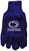 Search : Pennsylvania State (Penn State) Nittany Lions Knit College Logo Glove