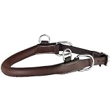 Kincade Jumping Hackamore