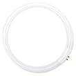 22W/T5 -Naturalight Circular