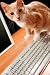 Viziflex Pet Proof Cover