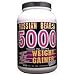 Vitol Products - Russian Bear 5000 Weight Gainer - Ice Cream Vanilla, 4 lb powder