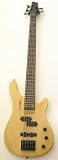 Electric 5 String Double Cutaway Bass Guitar