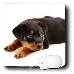image link -  - B002I87HWQ