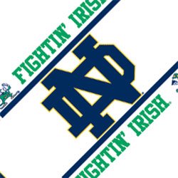 NCAA Notre Dame Wall Border Roll - Fighting Irish Football Peel-n-Stick